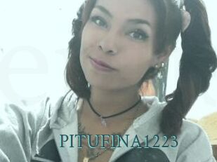 PITUFINA1223
