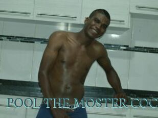 POOL_THE_MOSTER_COCK
