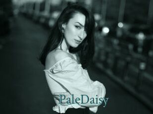 PaleDaisy
