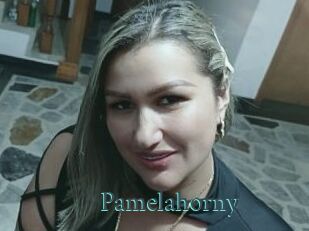 Pamelahorny