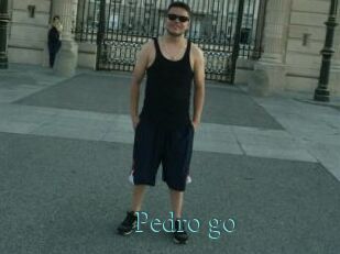 Pedro_go