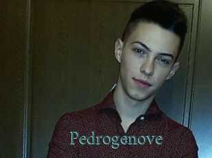 Pedrogenove