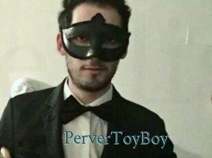 PerverToyBoy