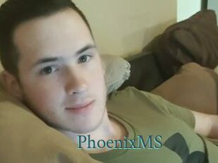 PhoenixMS