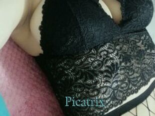 Picatrix