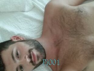 Pj001