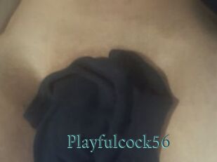 Playfulcock56
