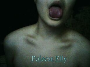 Polecat_Elly