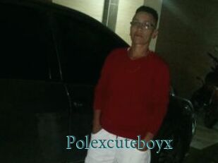 Polexcuteboyx