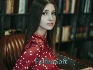 PolinaSoft