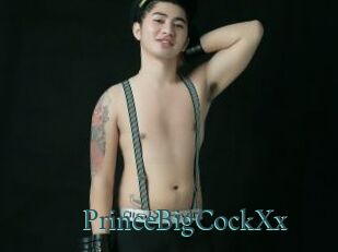 PrinceBigCockXx