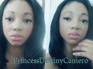 PrincessDestinyCamero