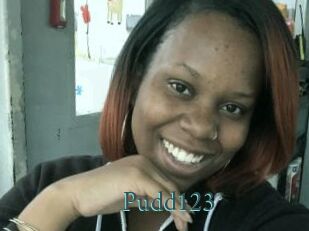 Pudd123