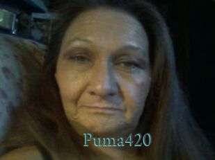 Puma420