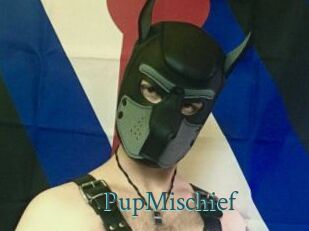PupMischief