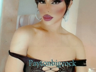 Paytonbigcock