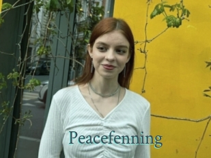 Peacefenning