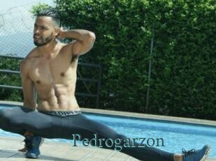 Pedrogarzon