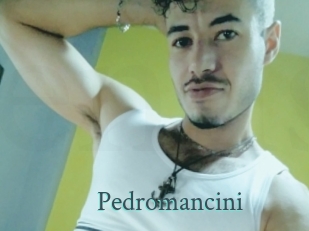 Pedromancini