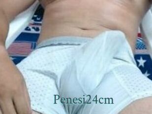 Penesi24cm