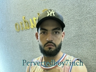 Pervertedboy7inch