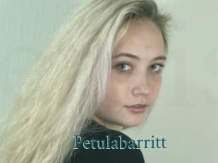 Petulabarritt