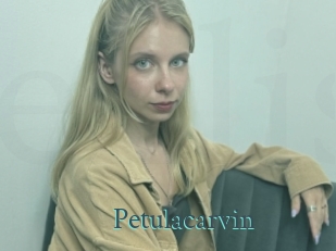 Petulacarvin