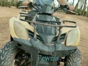 Pewnis