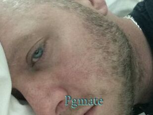 Pgmate