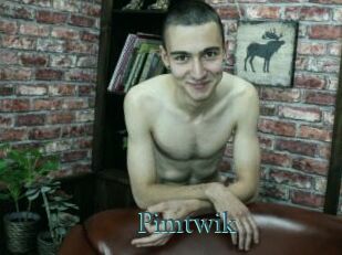 Pimtwik