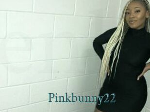 Pinkbunny22