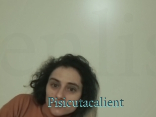 Pisicutacalient