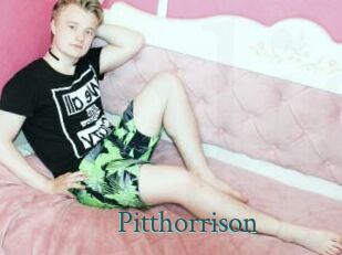 Pitthorrison