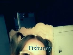 Pixbunny