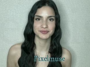 Pixelmuse