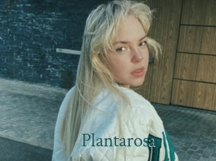 Plantarosa
