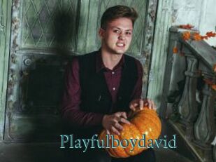 Playfulboydavid