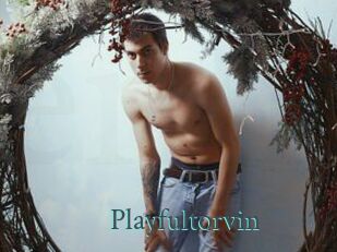 Playfultorvin
