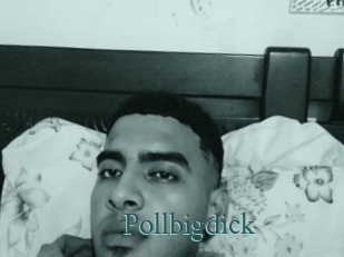 Pollbigdick