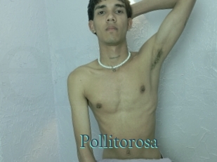 Pollitorosa