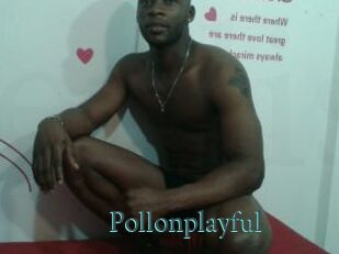 Pollonplayful