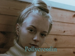 Pollycrosslin
