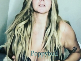 Poppybud