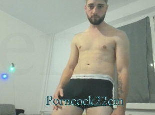 Porncock22cm