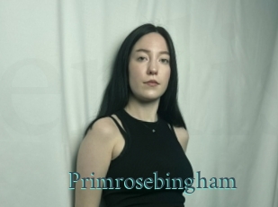 primrosebingham En live show