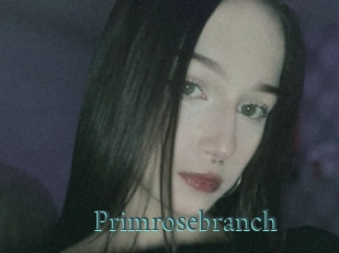 Primrosebranch