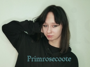 Primrosecoote