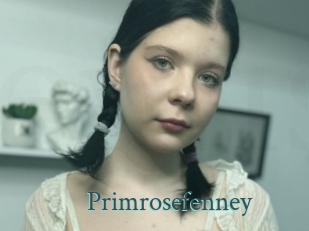 Primrosefenney