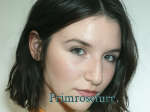 Primrosefurr