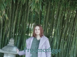 Prudencefigge